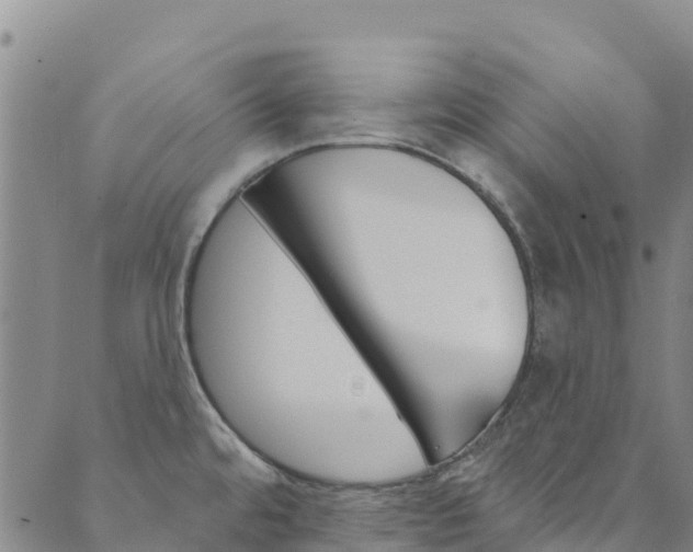 X0000090481480200707131031