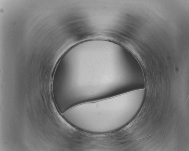 X0000090481484200707131031