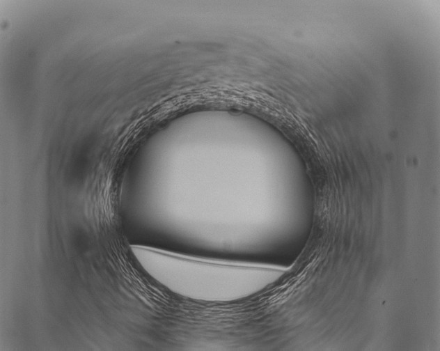 X0000090481490200707131030