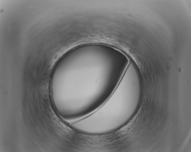 X0000090481500200707131030