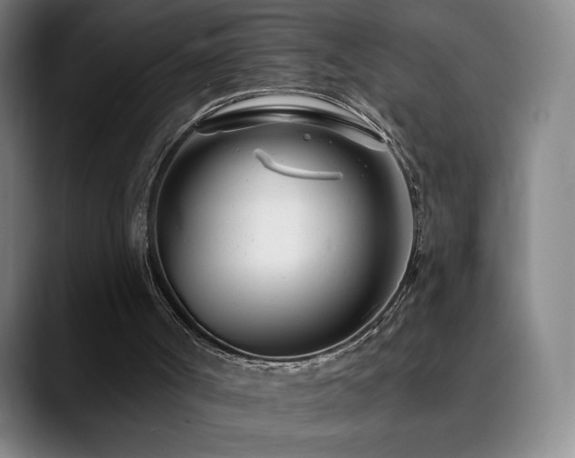 X0000090480002200707131325