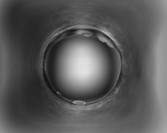 X0000090480007200707131325
