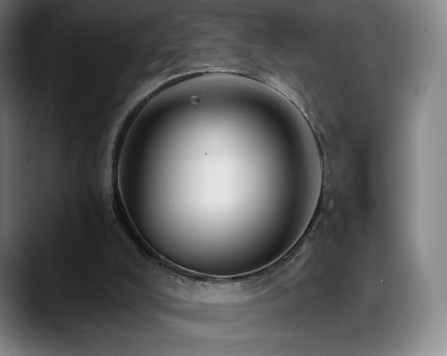 X0000090480008200707131324