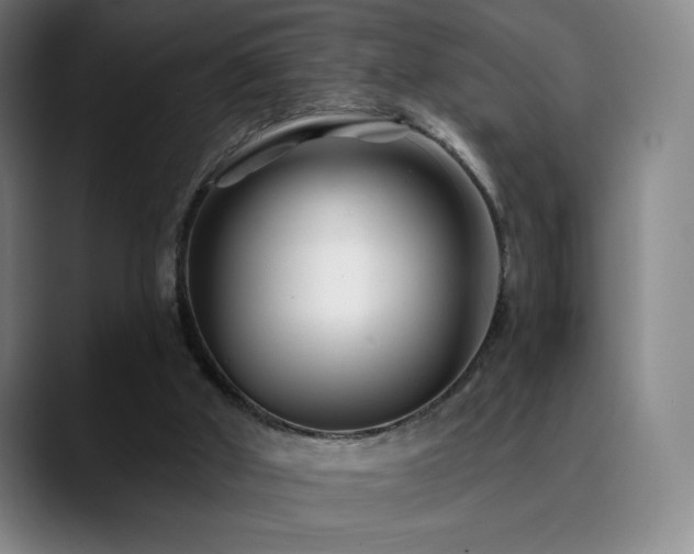 X0000090480010200707131324