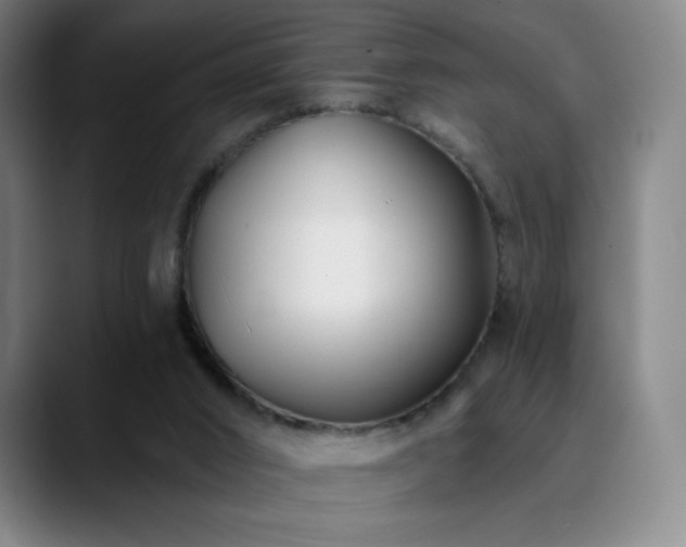 X0000090480016200707131324
