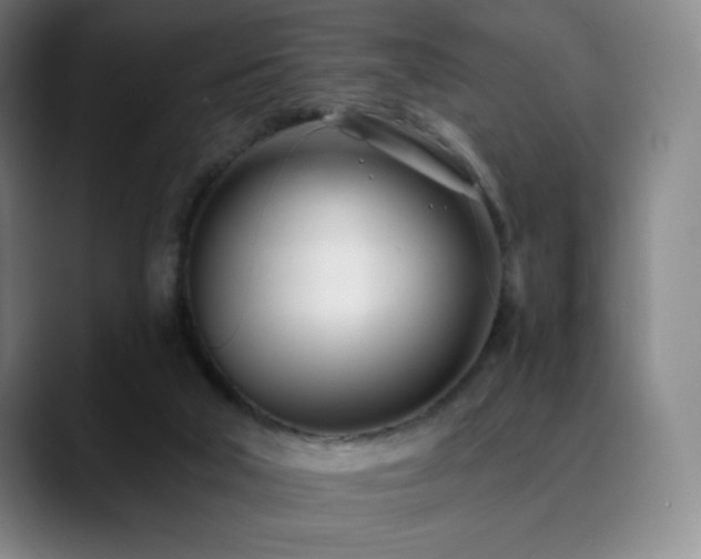 X0000090480018200707131324