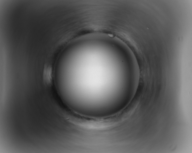 X0000090480024200707131324