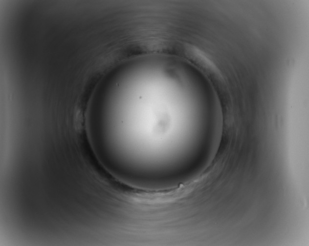 X0000090480025200707131324