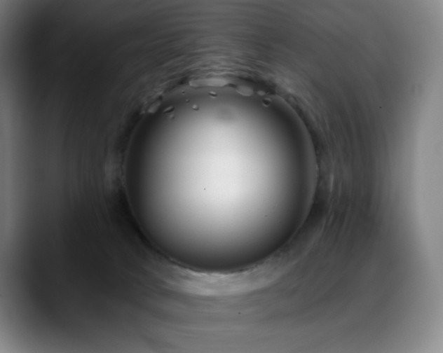 X0000090480034200707131324