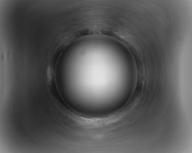 X0000090480038200707131324