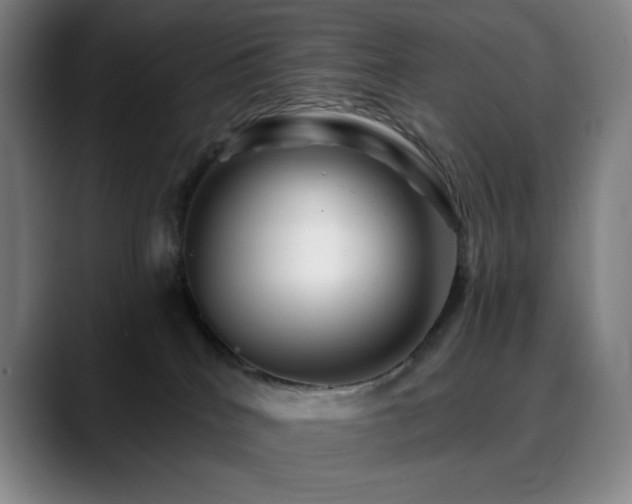 X0000090480040200707131324