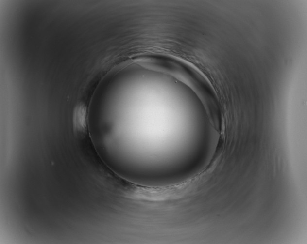 X0000090480041200707131324