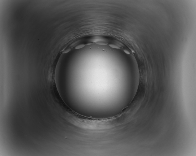 X0000090480044200707131324