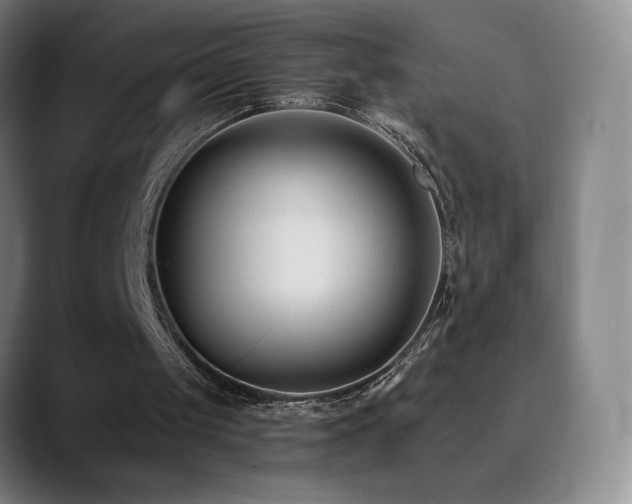 X0000090480049200707131323