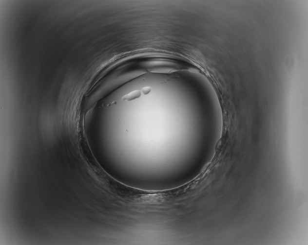 X0000090480050200707131323