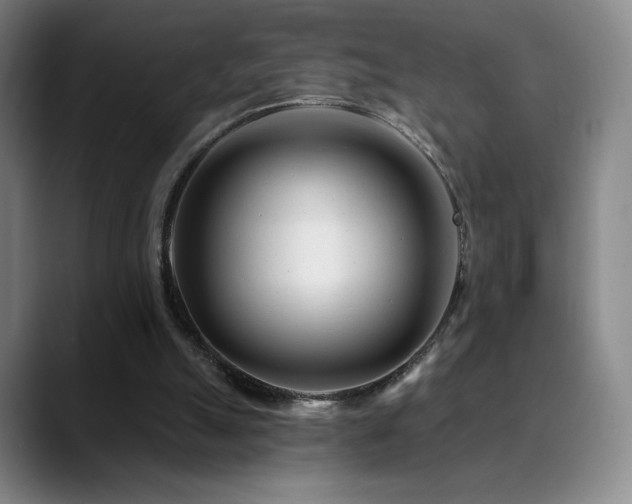 X0000090480055200707131323