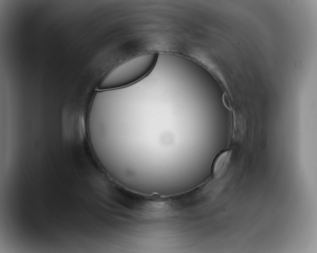 X0000090480061200707131323