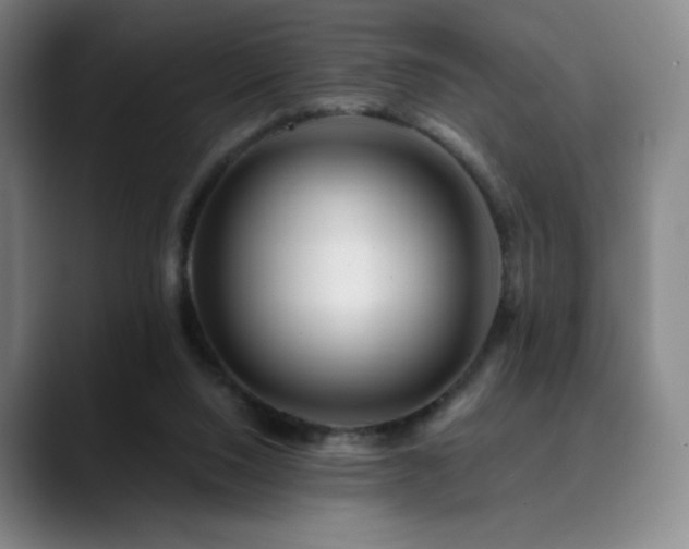 X0000090480064200707131323