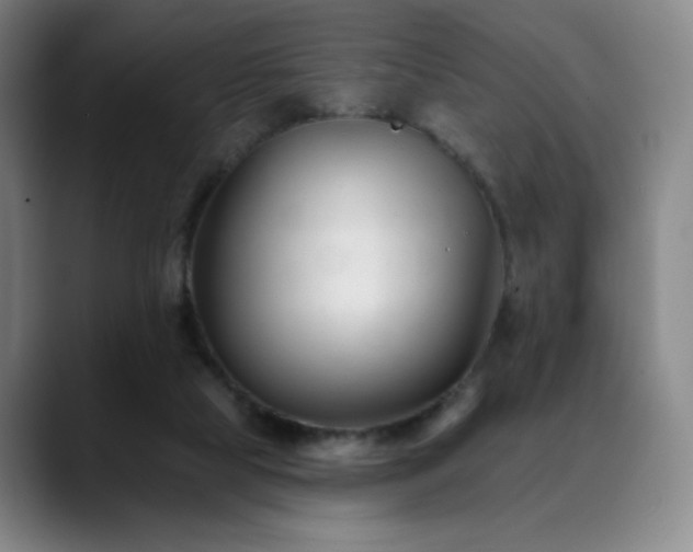 X0000090480065200707131323
