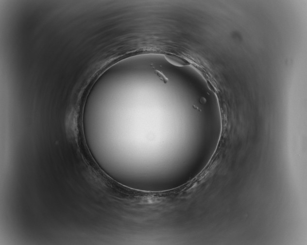 X0000090480098200707131323
