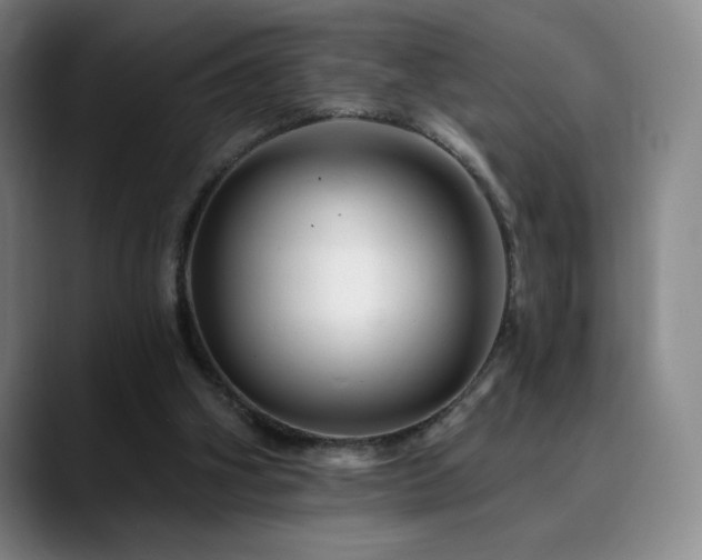 X0000090480106200707131323