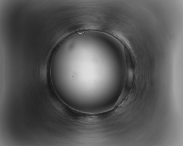 X0000090480108200707131323
