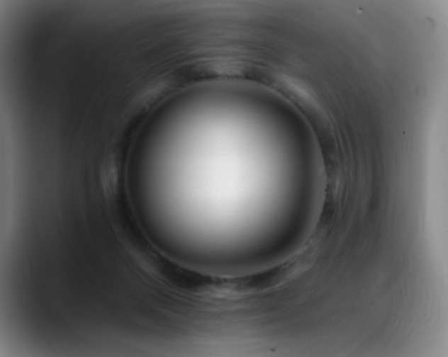 X0000090480120200707131323