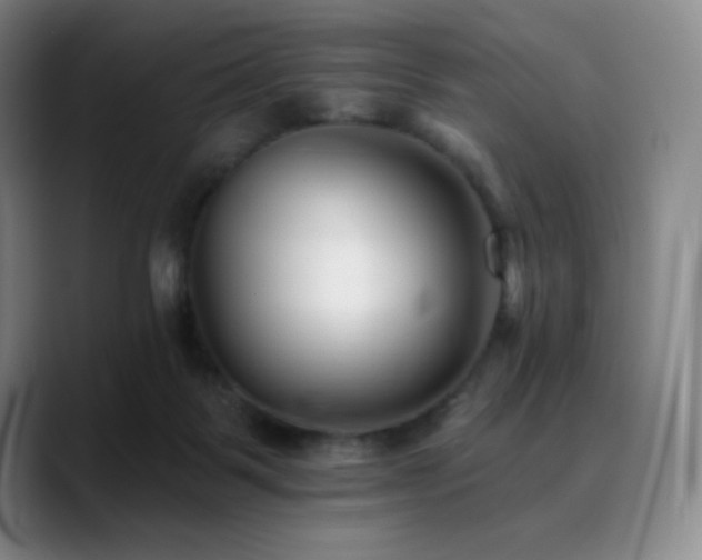 X0000090480123200707131323