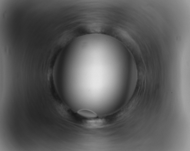 X0000090480125200707131323