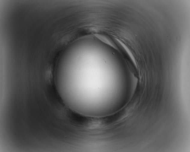 X0000090480127200707131323