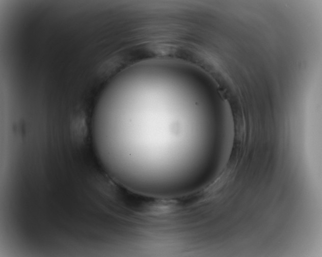 X0000090480128200707131323