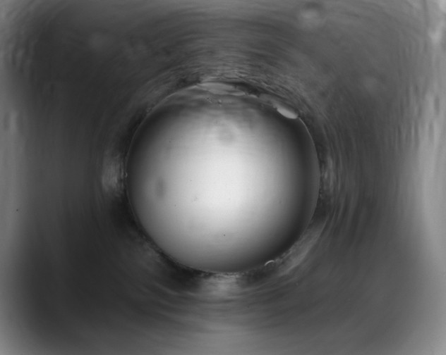 X0000090480138200707131323