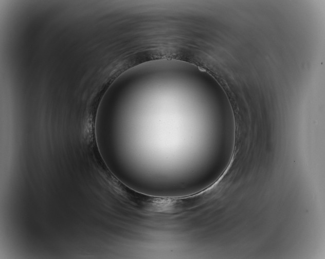 X0000090480144200707131323