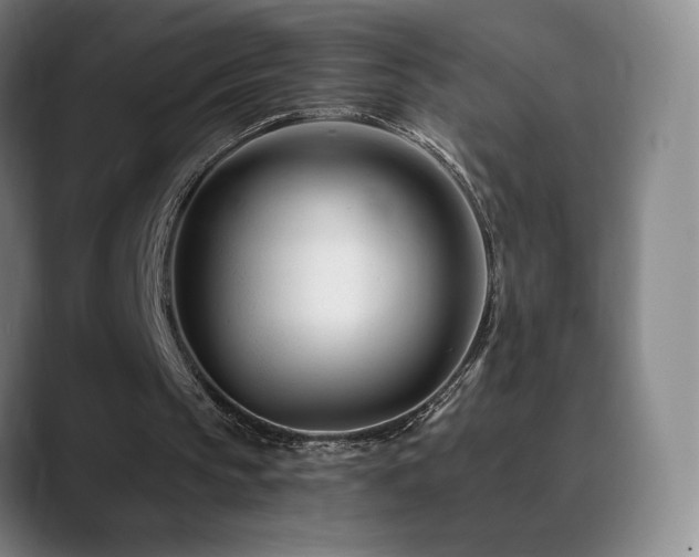 X0000090480145200707131322