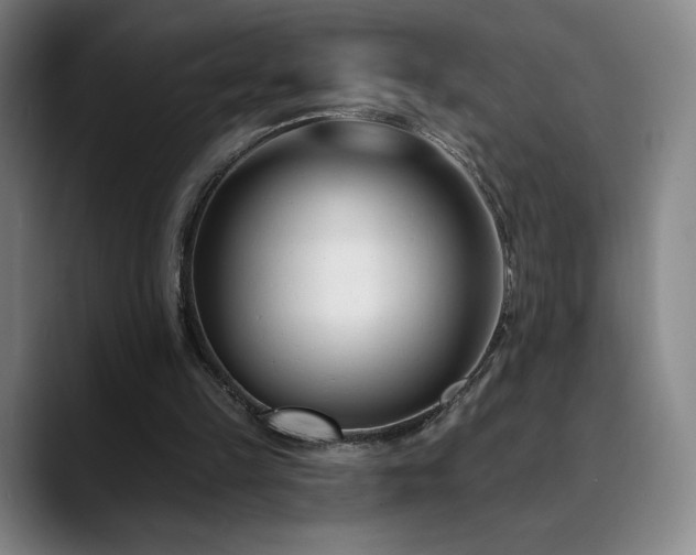 X0000090480149200707131322