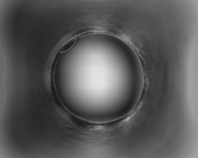 X0000090480151200707131322