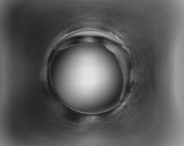 X0000090480152200707131322