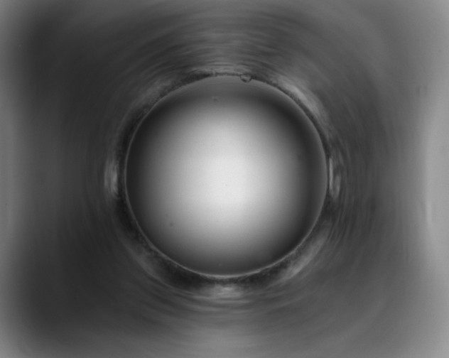 X0000090480157200707131322