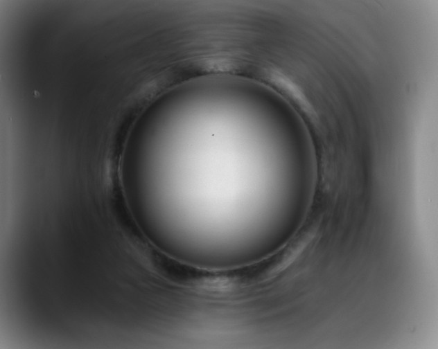 X0000090480161200707131322
