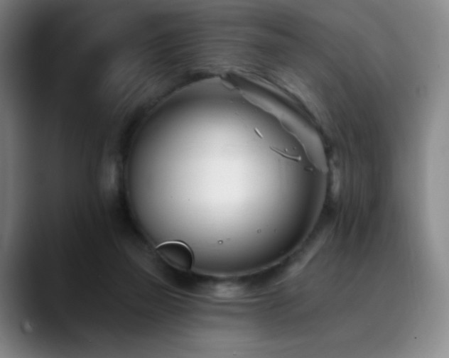 X0000090480165200707131322
