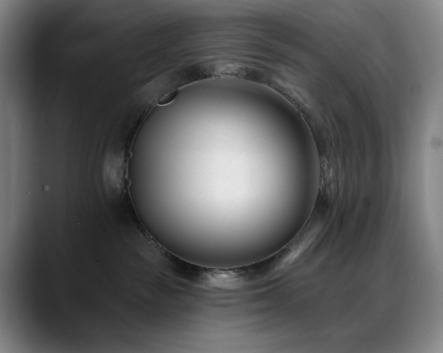 X0000090480189200707131323