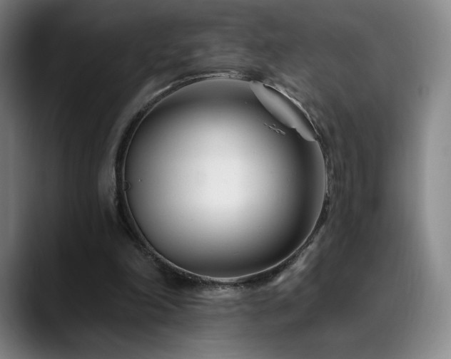 X0000090480198200707131322