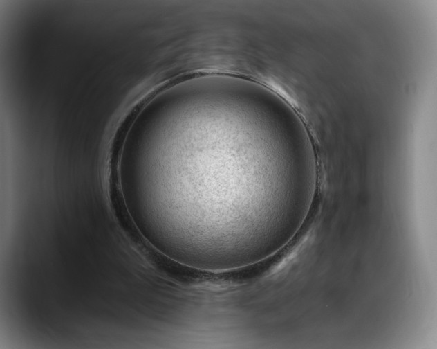 X0000090480199200707131322