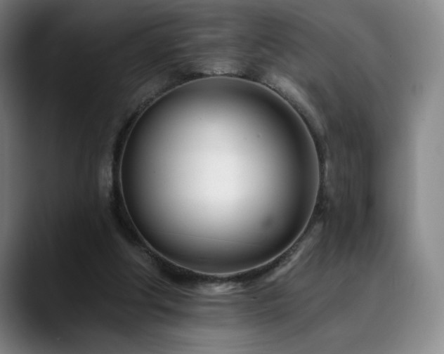 X0000090480202200707131322