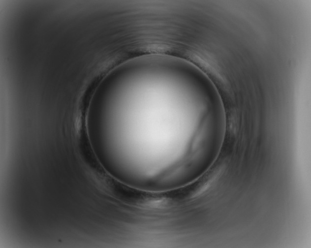 X0000090480206200707131322