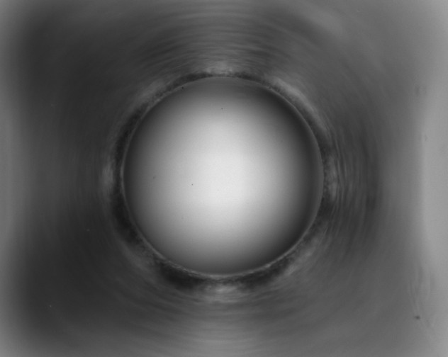 X0000090480208200707131322