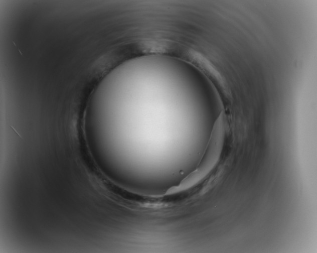 X0000090480209200707131322