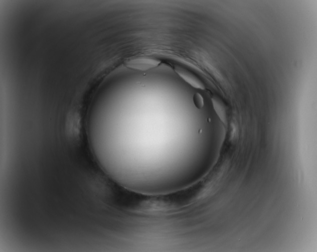 X0000090480211200707131322