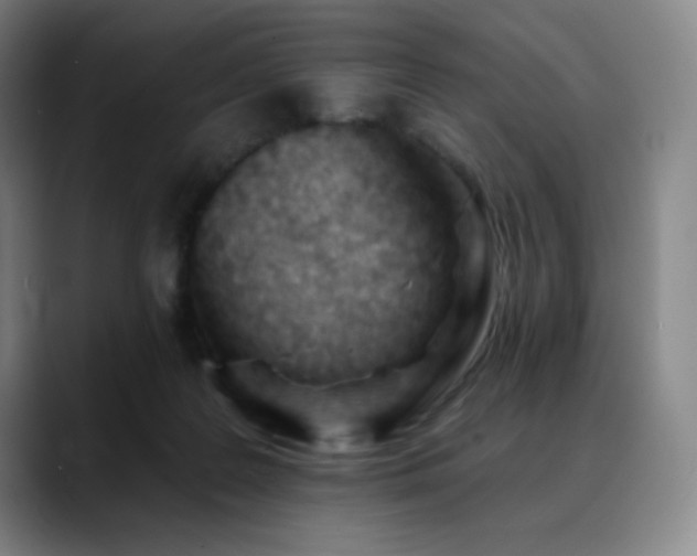 X0000090480219200707131322
