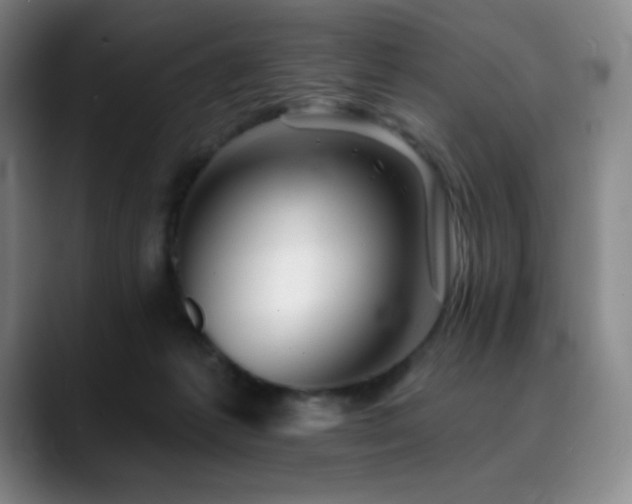 X0000090480221200707131322